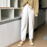 Winter Casual Warm Harem Pants Women Elastic Waist Solid Jogger Pants Female Plus Size Sportwear Trousers Loose Streetwear Pants
